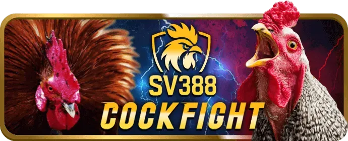 An toàn và bảo mật tại tip88 win